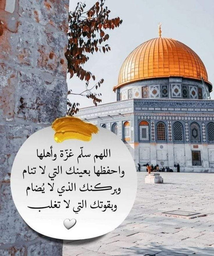 images%2Fimage 1720828114146.jpg