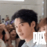 gt 2024711 3763 g text.gif