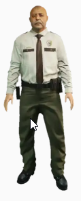Medal NhVfdtVHPE.png