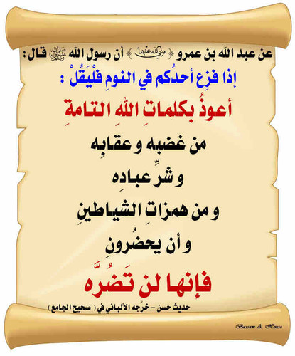 F51DCD55 3763 4AFB 8E83 A387989BBF92.jpg