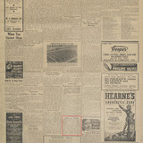 nla news page28940513