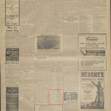 nla news page29110913