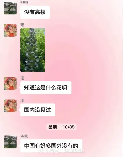 share 68cd711ed1442672bc3e5376ff31b94a.webp