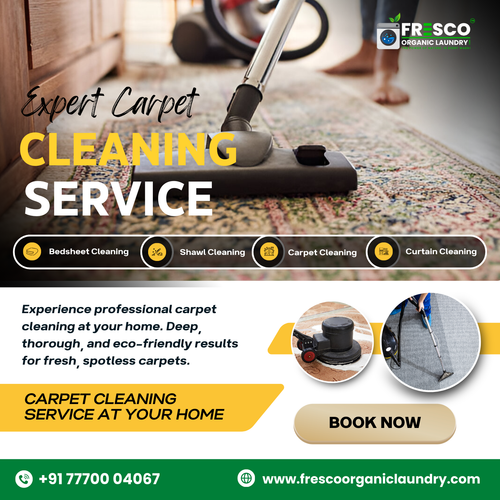Need professional carpet cleaning?
