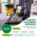 Need professional carpet cleaning services?