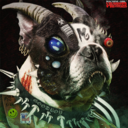 9d2bc53069da.png