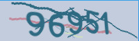 captcha.png