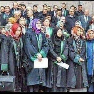 450488603 933190148820697 4075275371930363944 n.jpg? nc cat=100&ccb=1 7& nc sid=833d8c& nc ohc=q78ft.jpg