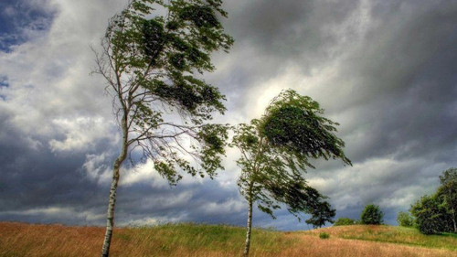 459646272 848812947384293 9179409931627341809 n.jpg? nc cat=103&ccb=1 7& nc sid=127cfc& nc ohc=OKvsy.jpg