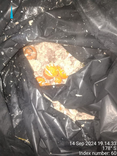 IMG 20240914 WA0028.jpg