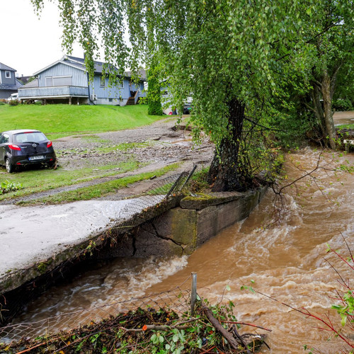 GXcEW8JbwAM5Q 8?format=jpg.jpg