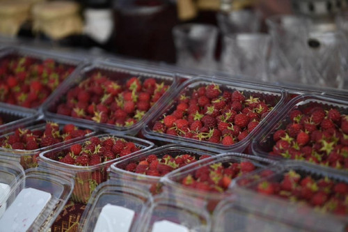 qF oPVKxh9QIA 7r66ThKw7pCExFcp24CBNhkKBWtMTQBBRQdlzNVv WKV9t6F6Si8GK25MOMJ6dqV DDjLGhIjIx78wrm03Jwp7.jpg