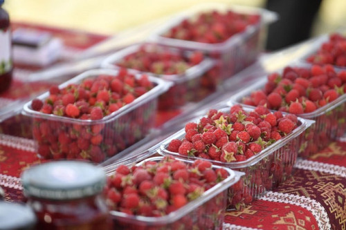 EdiB9lR WzzS5Jovn9VJ lomXswQBrk8ve12L Koikv8WjOA9Za2cxn vgDKC6lFUyzOGVMqDATz39CJyvL7PzjjK0ZRoA a Pd5.jpg