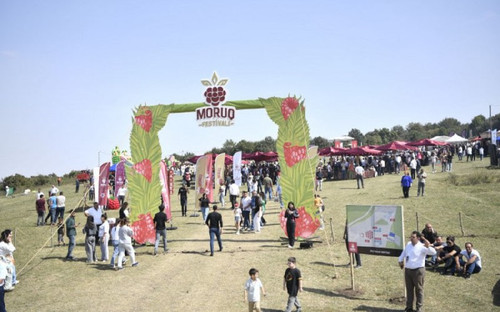 X4EvupItwiuZy9w4hXPMYByOXLMgixs lKEWYLG7s1zn5PQh iPiKFQullK9Le4t3S5 zZBySyReWRbGS0DQI7azmFmEJHotRPx1.jpg