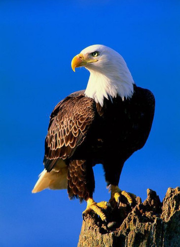 Screenshot 20240914 141121 Gallery.jpg