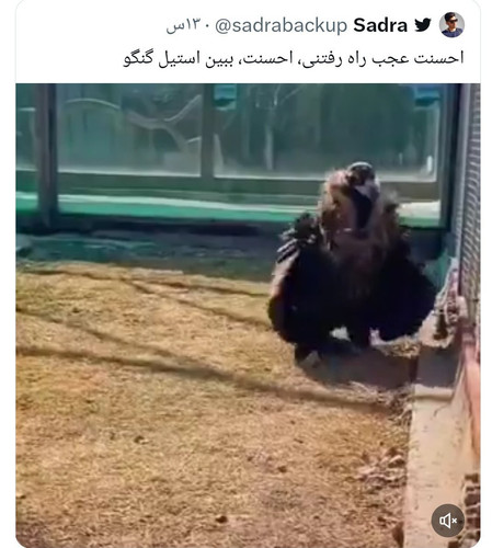 GXby9goXkAEg zJ?format=jpg.jpg