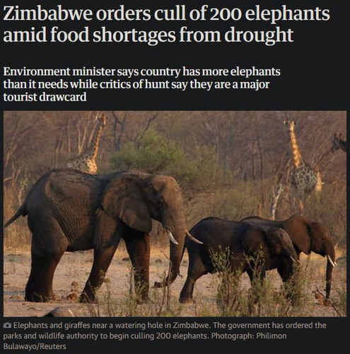 OYk7NQ8elw57D9rT8 bIAiN17AQlnt3iBfcAQ0vWBTi2AG11Dl0VCRPjCS7QN6ucuDpsdwy17cVauC4vaPQ4aAomXbCEhkx8FMWH.jpg