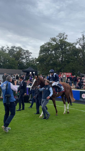 uBfIJuW LAamH0Lz.jpg