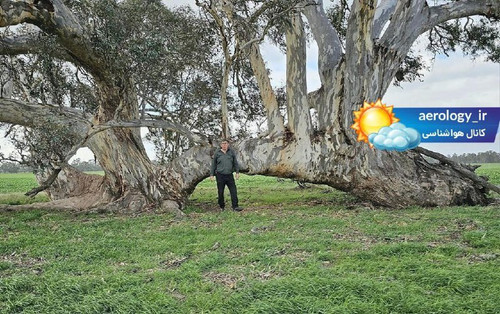 iYV3dSGkFKyqKQNeeACOhc9bvZOCeOxD8hKRXwTy uATdrgGtpvMOVIL37Jue1V7bn 6vE04GfawqRu4Jzef2KdTjSgINrqEzqb .jpg