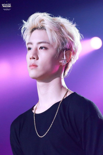 Image319 1080 1620.jpg