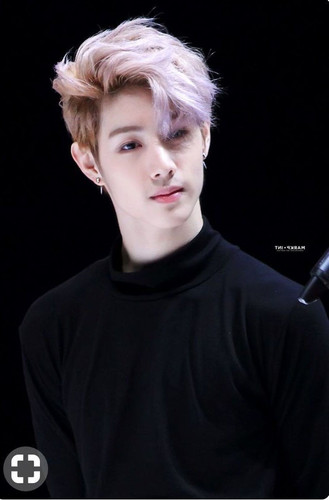 Image388 1080 1643.jpg