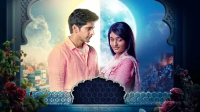 Dil Ko Tumse Pyaar Hua 390x220.webp