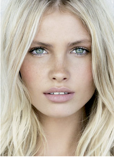 Image482.png