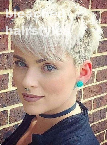 Image485 11 09 2024.jpg