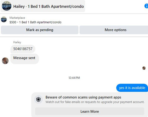 hailey.jpg