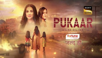 Pukaar Dil Se Dil Tak.jpg