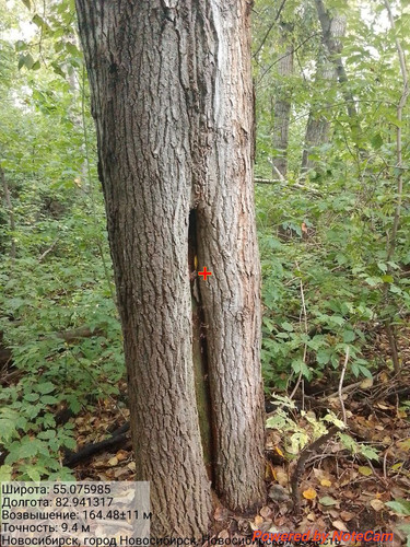 IMG 20240915 155147 052.jpg