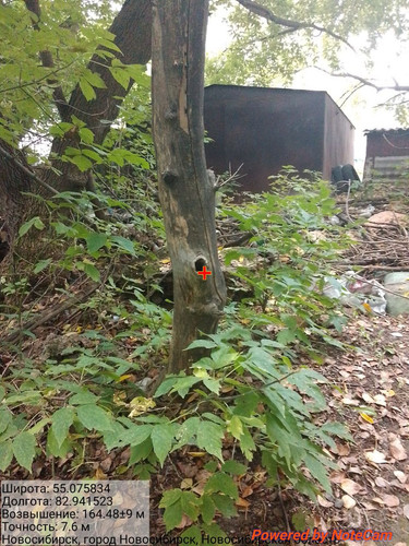 IMG 20240915 155613 788.jpg