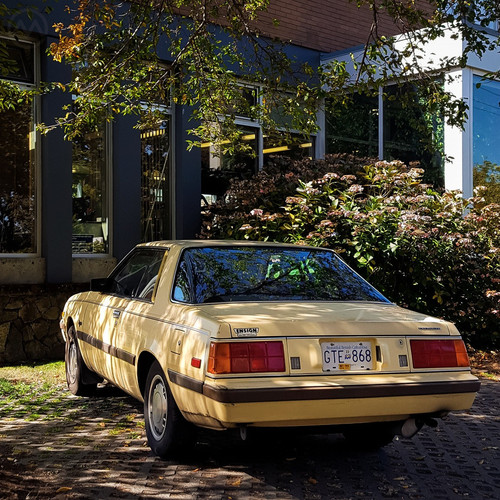 459158311 1192582015116078 457082263052651952 n.jpg