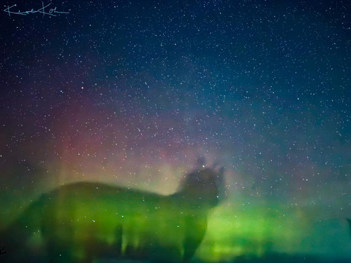 459549206 10232217382651373 6687283070120899204 n.jpg