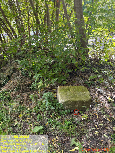 ima 0387066.jpg