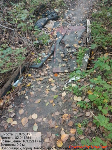 IMG 20240915 155146 529.jpg