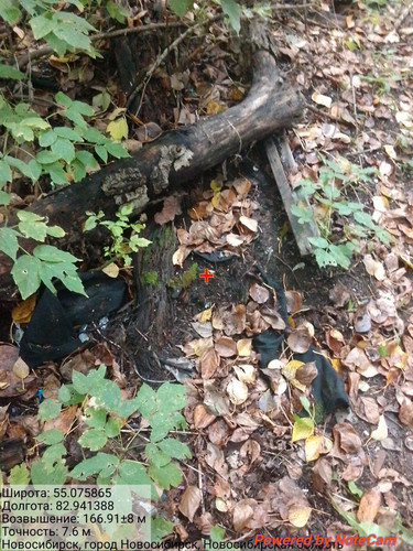 IMG 20240915 155147 313.jpg
