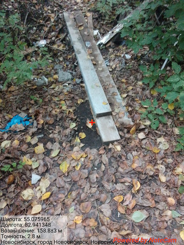 IMG 20240915 154726 674.jpg