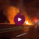 merged (5).gif