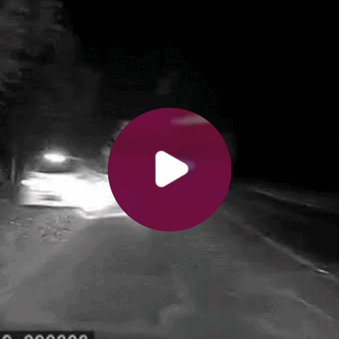 merged (3).gif