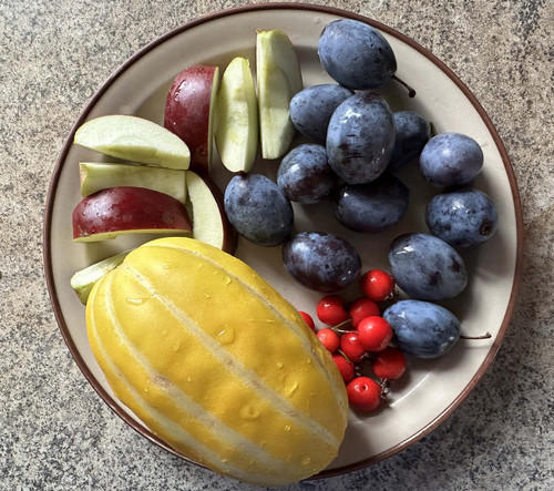 obst.jpg