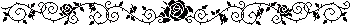 roses removebg preview.png