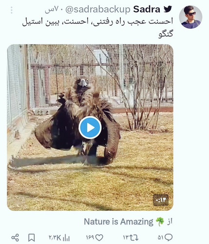 GXadiCXW8AAxrqv?format=jpg.jpg
