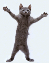 3ea29984f0a8.gif