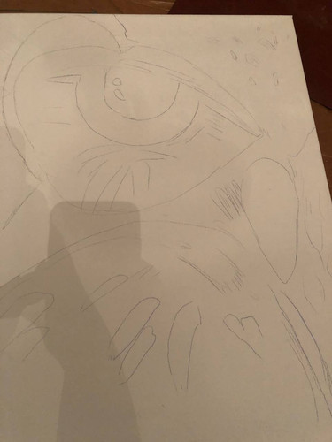 1726334471 1846723507.jpg