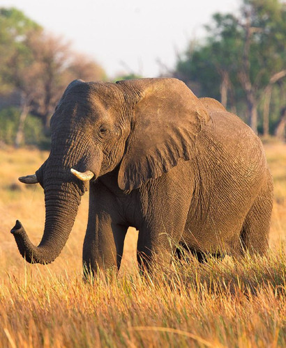 JSA6w60B94IlyS3D3tBfIf yhDP3LUDGAc154bCrXKDLtmblkQFaU28TI sUjJwKkMZLtxGV1LoVGryVjrpGdnBbEP3rdIbGb63W.jpg