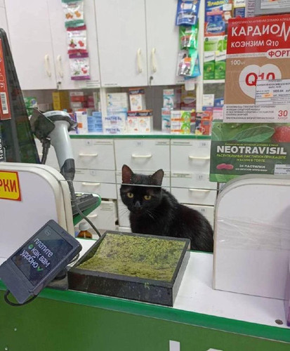N Insx FqBbNxwOY9HK6NJLou13SHxSNFzXhZCNpp ZwXZfJOOUKbCiash5nK9dww7jtIfNQFtNJl5kdZtKaJ OIBmgv4fGNtFHs.jpg