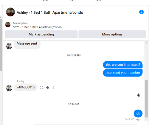 ashley.png
