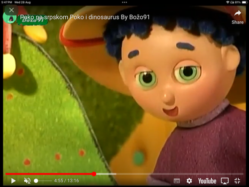 IMG 3913.png