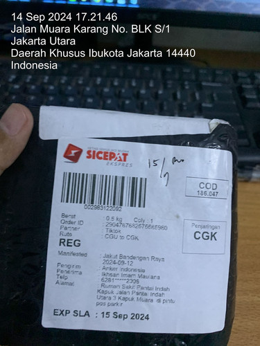 WhatsApp Image 2024 09 14 at 17.21.54.jpg